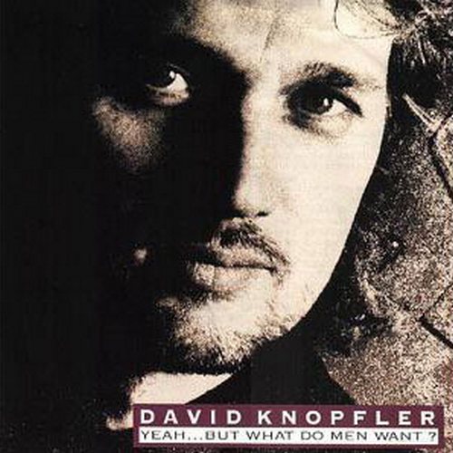 David Knopfler 