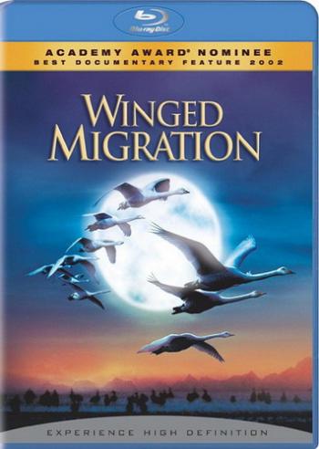  / Winged Migration / Le peuple migrateur VO