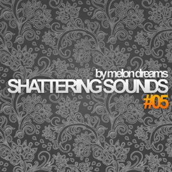VA - Shattering Sounds #5