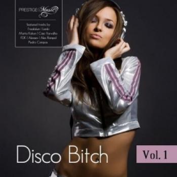 VA - Disco Bitch Vol.1