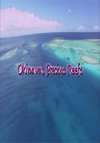     / Okinawa's Precious Reefs VO