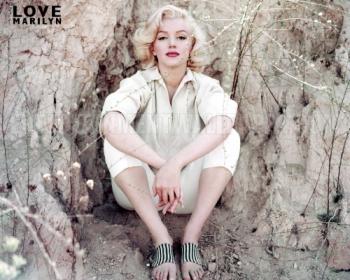   / Love, Marilyn MVO