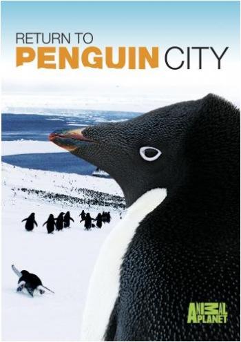     / Return to Penguin City DVO