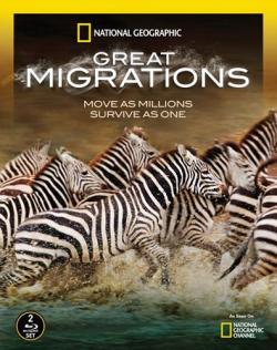   (3-  6 ) / Great Migrations