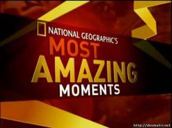 National Geographic : C   / National Geographic : Most amazing moments [