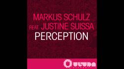 Markus Schulz - Perception