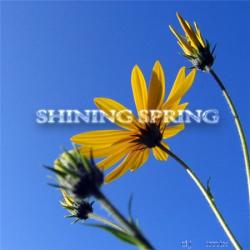DJ IMIX - Shining Spring