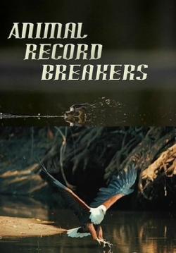    / Animal Record Breakers VO