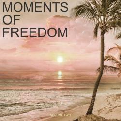 VA - Moments Of Freedom Vol.2: Selection Of Finest Chill Out and Ambient Music