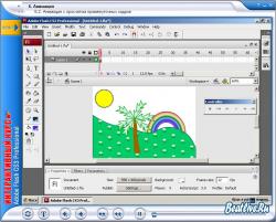 Adobe Flash CS3 Professional -  