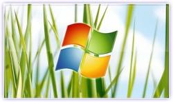     Windows XP (2005)