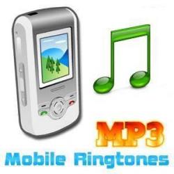 MP3   