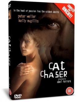   / Cat Chaser