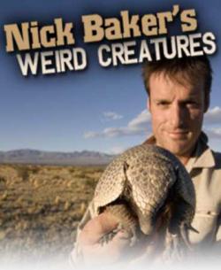     (C 2: 8 ) / Weird Creatures with Nick Baker VO
