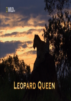   / Leopard Queen VO