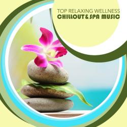 VA - Top Relaxing Wellness Chillout & Spa Music