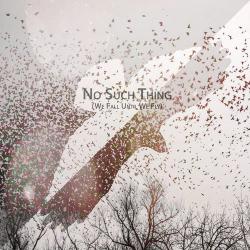 No Such Thing - We Fall Until We Fly
