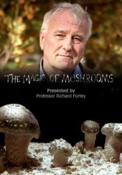   / BBC.The Magic of Mushrooms