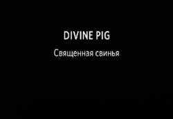   / Divine pig VO