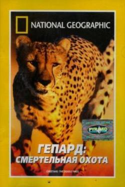 :   / National Geographic. Cheetahs: The Deadly Race VO