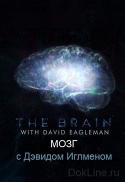     (1 , 1-6   6) / BBC. The Brain with David Eagleman VO