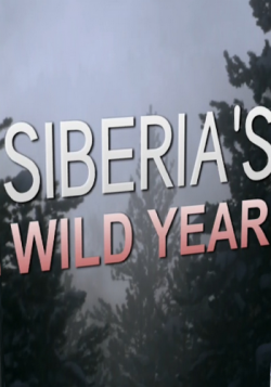   :  / NAT GEO WILD. Siberia's wild year VO