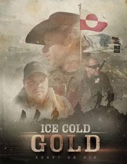   (2 , 1-9   9) / Discovery. Ice Cold Gold VO