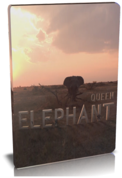   / NAT GEO WILD. Queen elephant VO