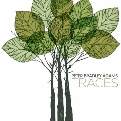 Peter Bradley Adams - Gather Up - Traces 