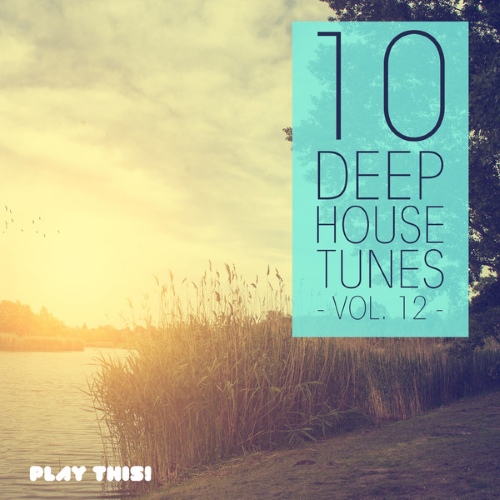 VA - 10 Deep House Tunes Vol 12,13 