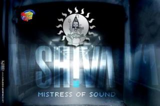 SHIVA - Shows 