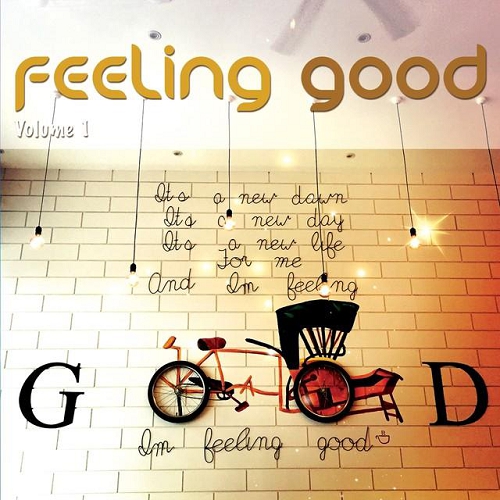 VA - Feeling Good Vol 1-2 