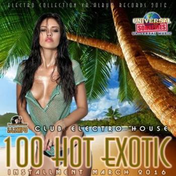 VA - 100 Hot Exotic: Electro Club House