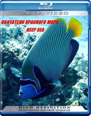    [3 ] / Deep Sea