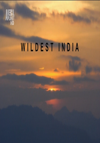    / Wildest India (3   3) VO