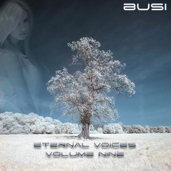 VA - Eternal Voices Volume Nine