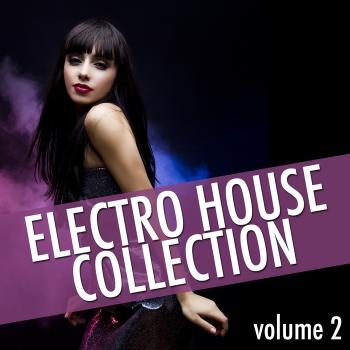 VA - Electro House Collection Vol 2