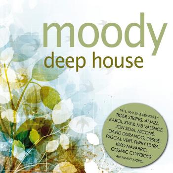 VA - From Deep To House