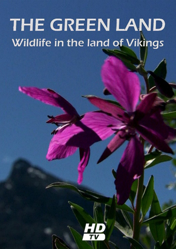 :     / The Green Land: Wildlife in the Land of Vikings DVO