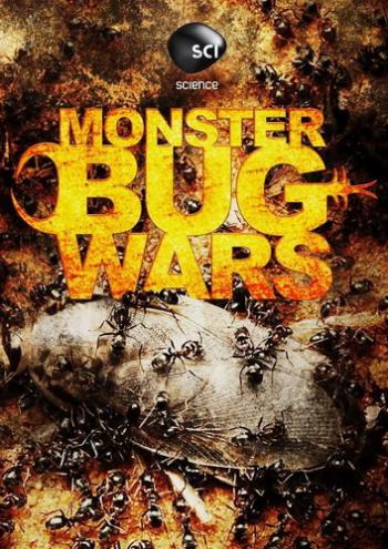  - / Monster bug wars (13   13) VO