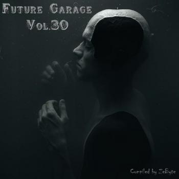 VA - Future Garage Vol.30 [Compiled by Zebyte]