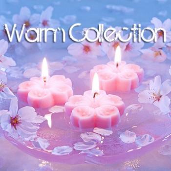 VA - Warm Collection