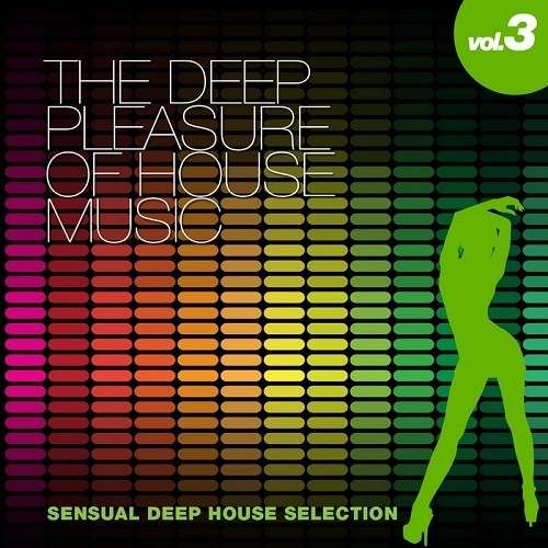 VA - The Deep Pleasure Of House Music Vol 2-3 