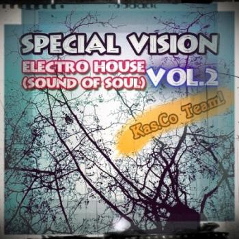 VA - Special Vision Electro House vol.2