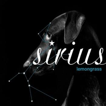 Lemongrass - Sirius