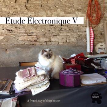 VA - Etude Electronique V - A French Way of Deep House