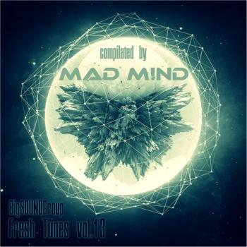 VA - Fresh Tunes vol.13 from Mad M!nd