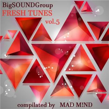 VA - Fresh Tunes vol.5 from Mad M!nd