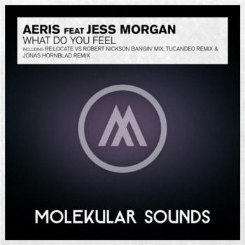 Aeris feat. Jess Morgan - What Do You Feel