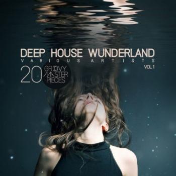 VA - Deep House Wunderland Vol.1: 20 Groovy Master Pieces